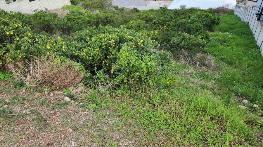 0 Bedroom Property for Sale in Island View Western Cape